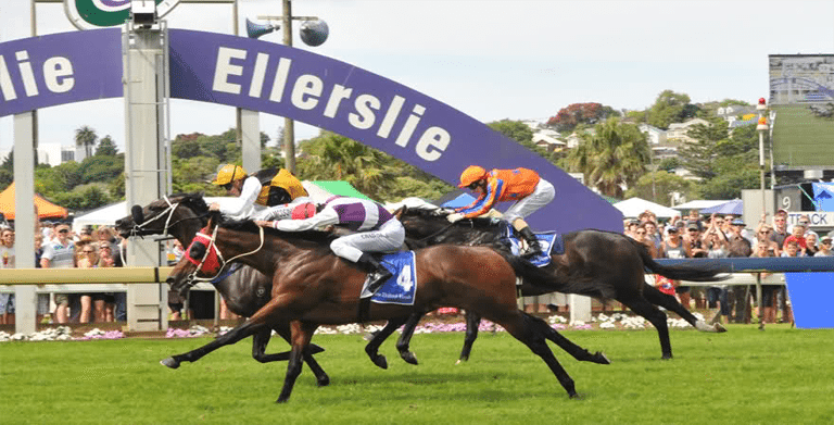 Horse racing in New Zealand